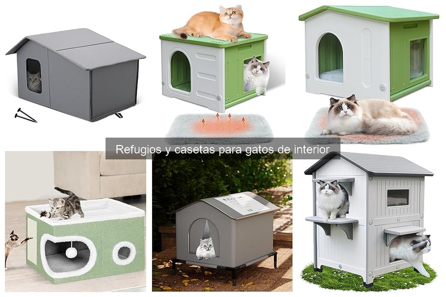Mantenimiento de Casetas para Gatos de Interior: Guía Práctica