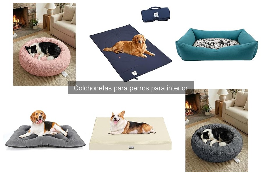 Mantenimiento de Colchonetas para Perros: Consejos Útiles