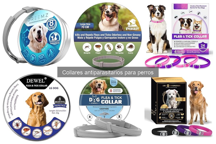 Mantenimiento de collares antiparasitarios para perros