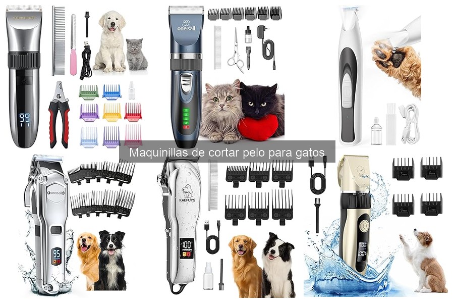 Mantenimiento de maquinillas de cortar pelo para gatos
