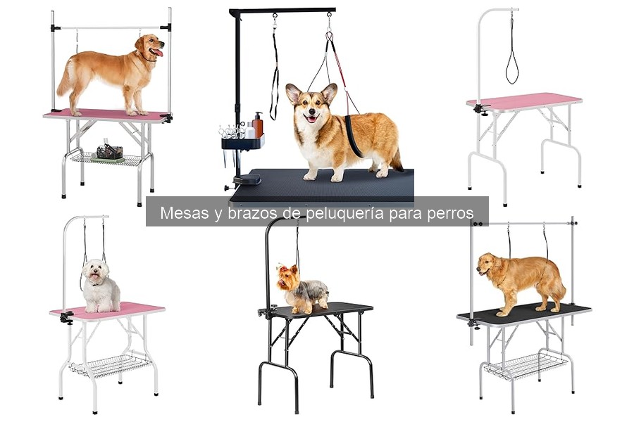 Mantenimiento de Mesas de Peluquería para Perros: Guía Útil