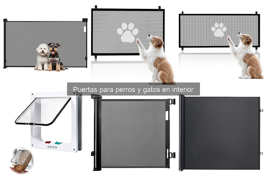 Mantenimiento de puertas para perros y gatos: consejos útiles