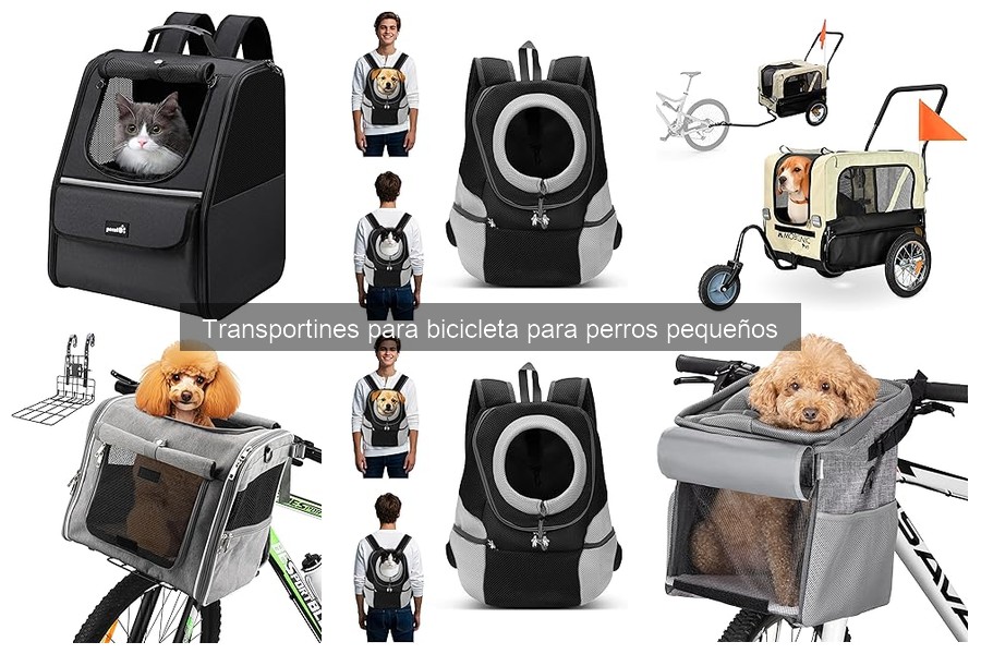 Mantenimiento de Transportines para Bicicleta de Perros Pequeños
