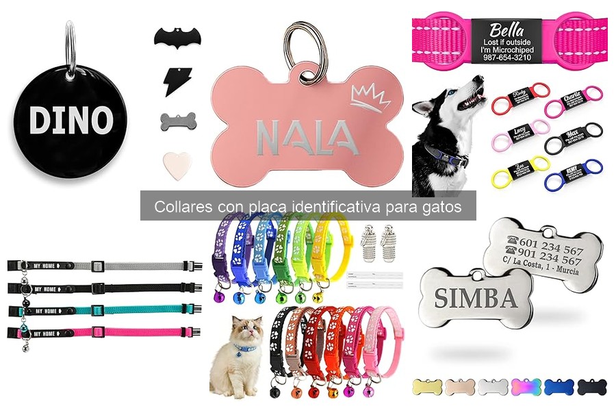 Mantenimiento eficaz de collares con placa para gatos