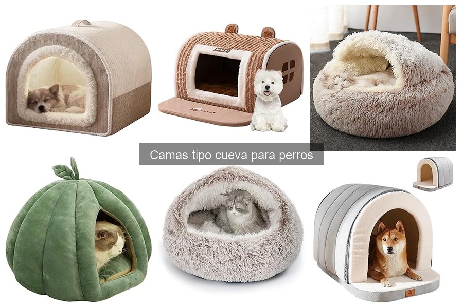 Mantenimiento y cuidado de camas tipo cueva para perros