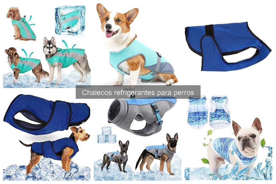 Mantenimiento y cuidado de chalecos refrigerantes para perros