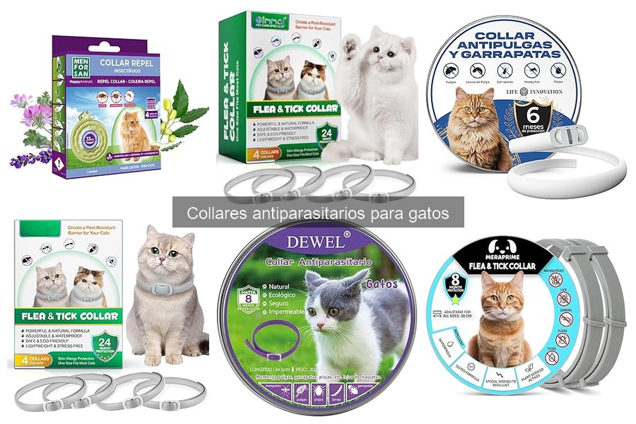 Mantenimiento y Duración de Collares Antiparasitarios para Gatos