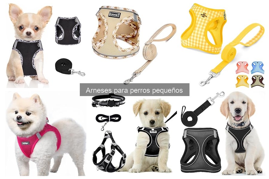 Mantenimiento y limpieza de arneses para perros pequeños