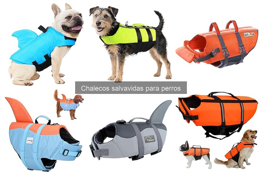 Mantenimiento y limpieza de chalecos salvavidas para perros