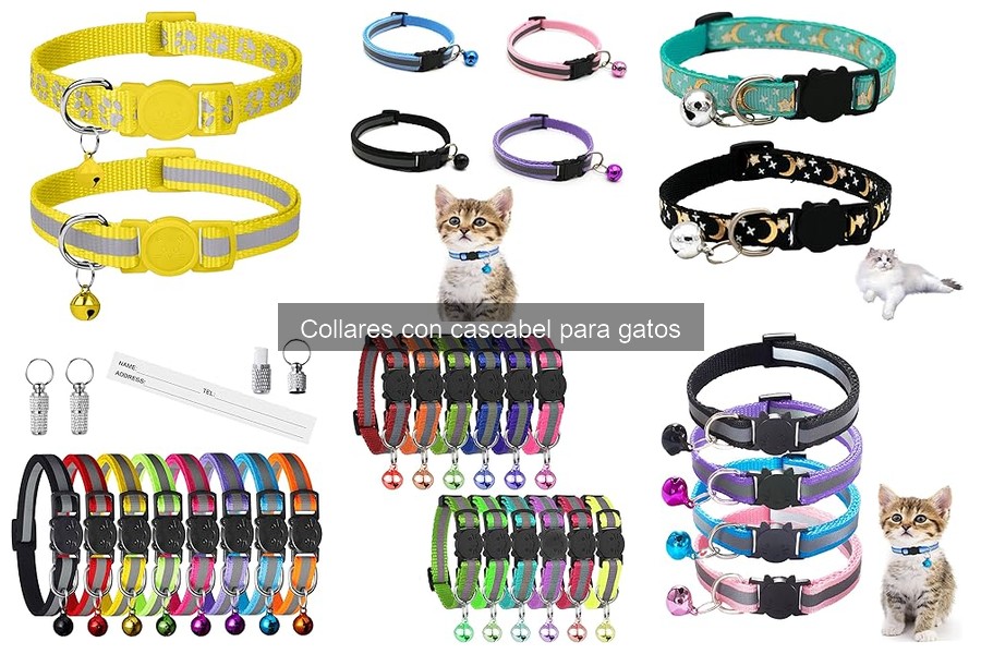 Mantenimiento y limpieza de collares con cascabel para gatos