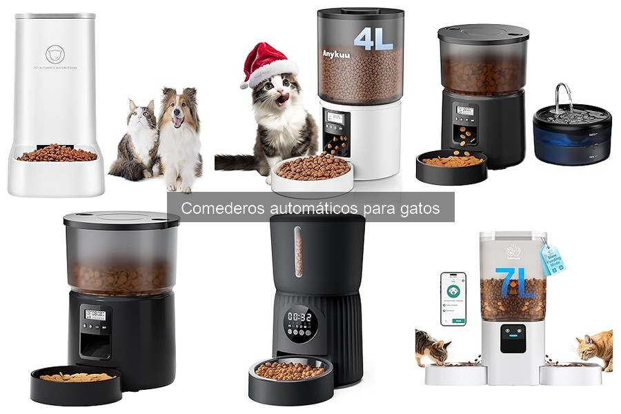 Mantenimiento y limpieza de comederos automáticos para gatos
