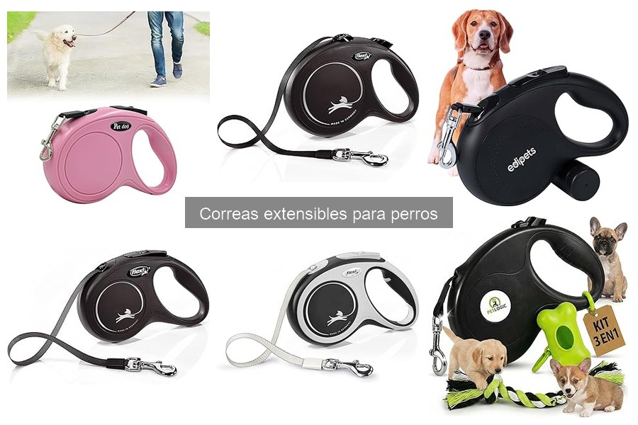 Mantenimiento y limpieza de correas extensibles para perros