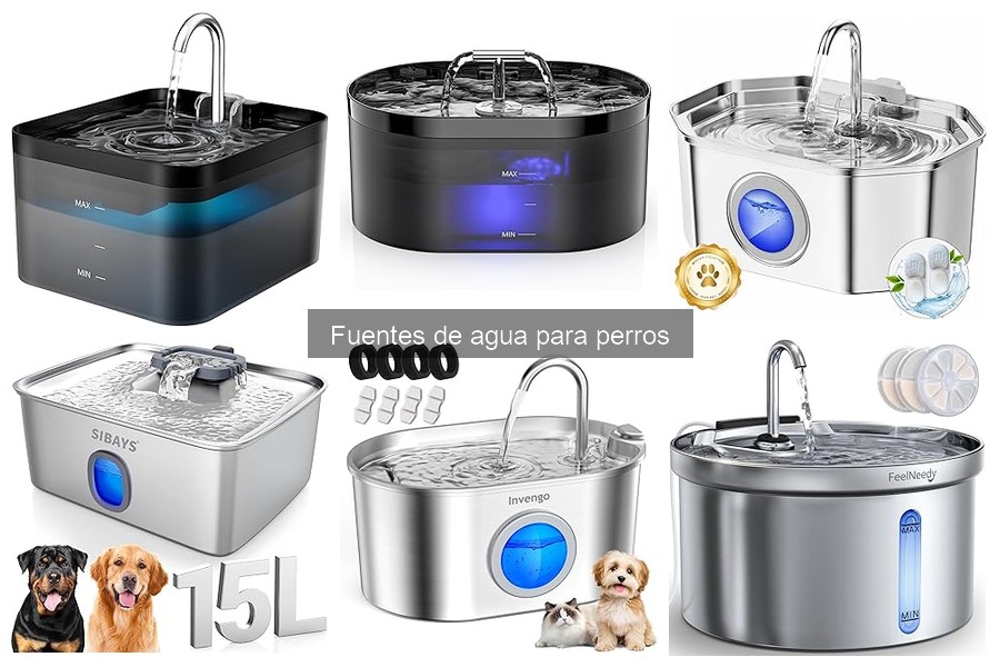 Mantenimiento y limpieza de fuentes de agua para perros