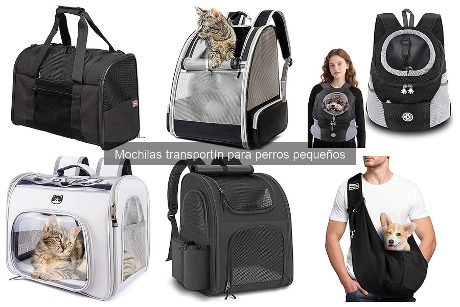Mantenimiento y limpieza de mochilas transportín para perros pequeños