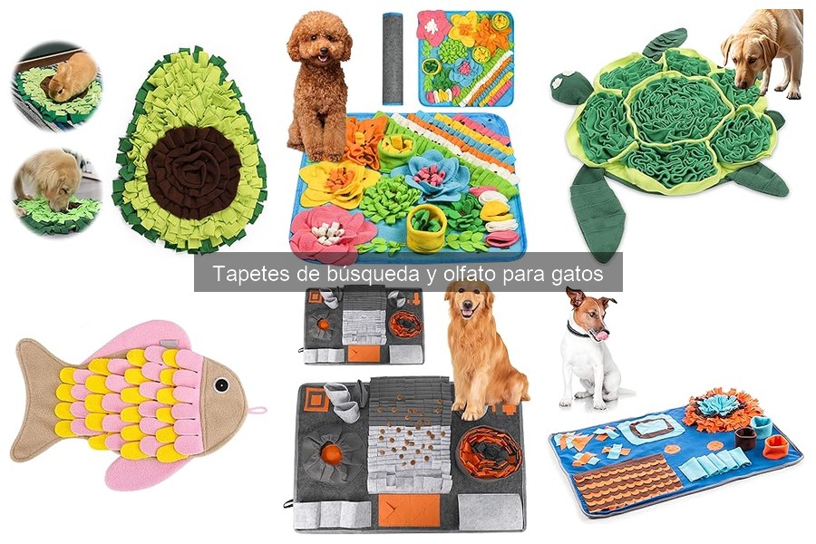 Mantenimiento y limpieza de tapetes de olfato para gatos