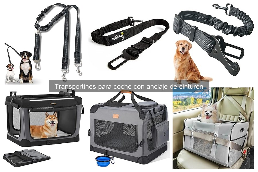 Mantenimiento y limpieza de transportines para coche
