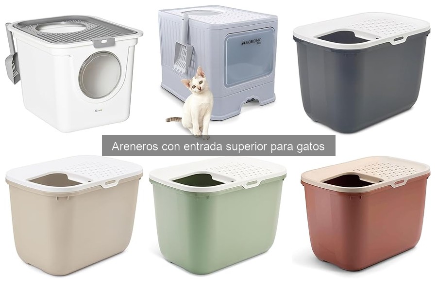 Materiales ideales para areneros con entrada superior para gatos