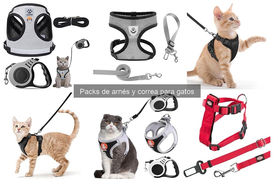 Materiales ideales para arneses y correas de gatos