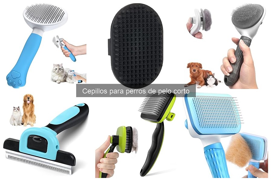 Materiales ideales para cepillos de perros de pelo corto