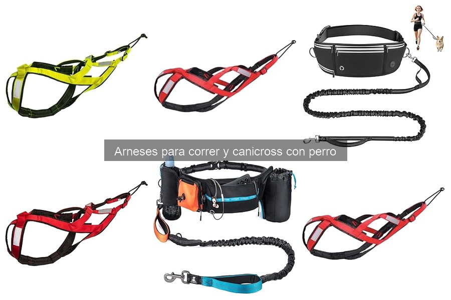 Materiales recomendables para arneses de canicross