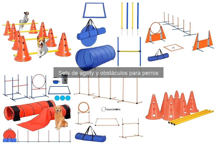 Materiales seguros para sets de agility para perros