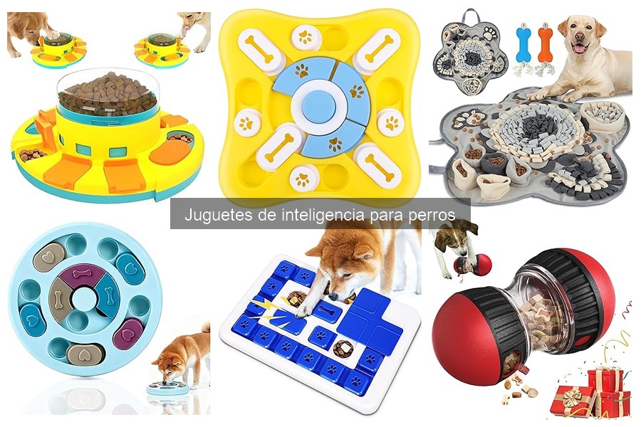 Materiales y durabilidad de juguetes de inteligencia para perros