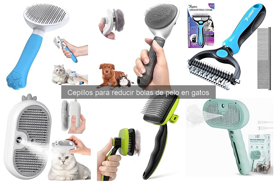 Mejor cepillo para gatos con piel sensible: opciones seguras