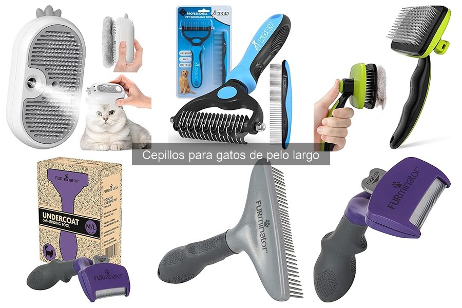 Mejor momento del día para cepillar a tu gato de pelo largo