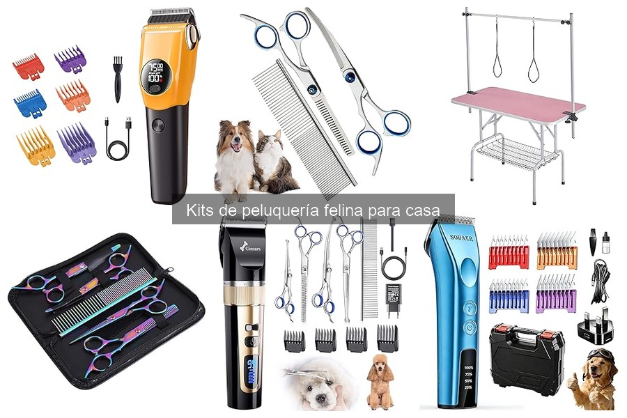 Mejor momento para usar un kit de peluquería en gatos