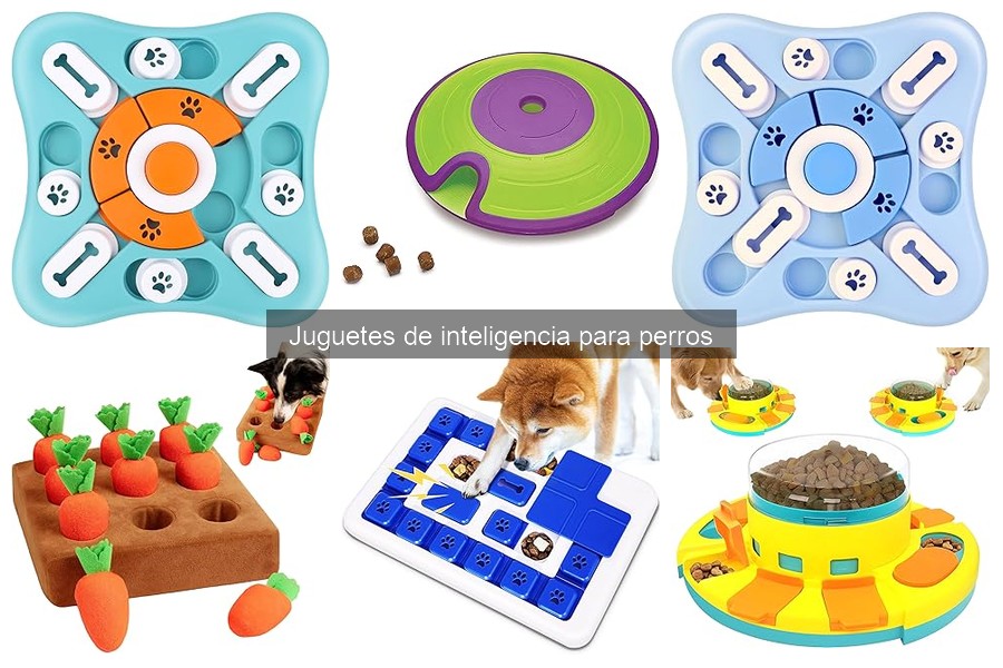 ** Mejora la educación de tu perro con juguetes de inteligencia