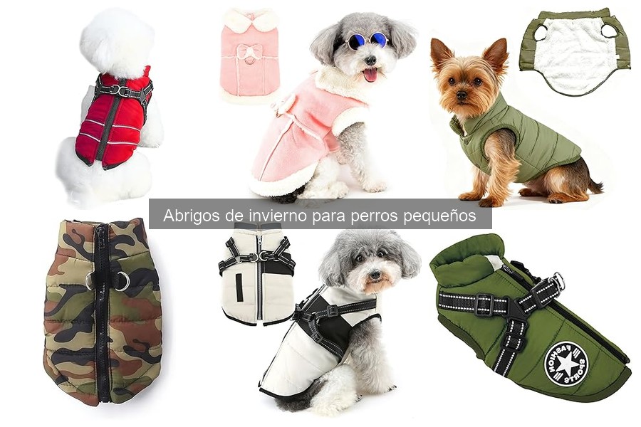 Mejores abrigos de invierno económicos para perros pequeños