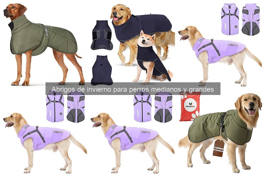Mejores abrigos de invierno para perros grandes con pelaje corto