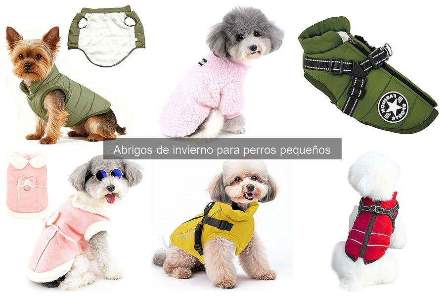 Mejores abrigos de invierno para perros pequeños 2023