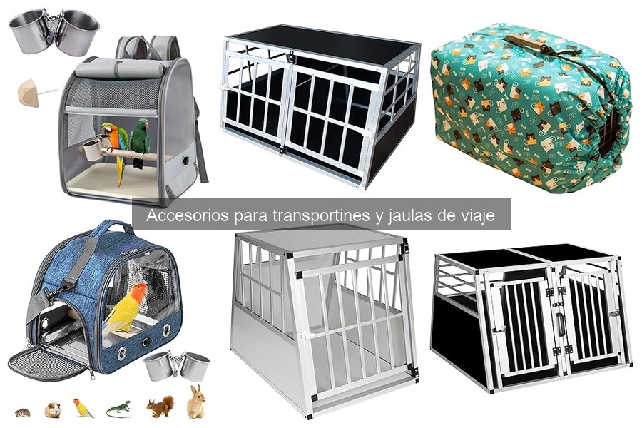 Mejores Accesorios para Transportines según Usuarios