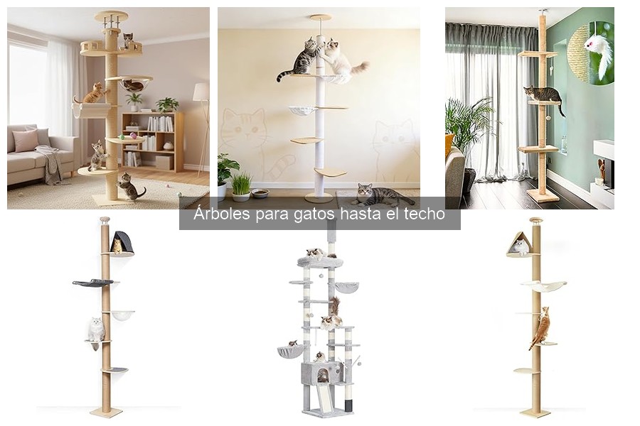 Mejores árboles para gatos hasta el techo en espacios pequeños