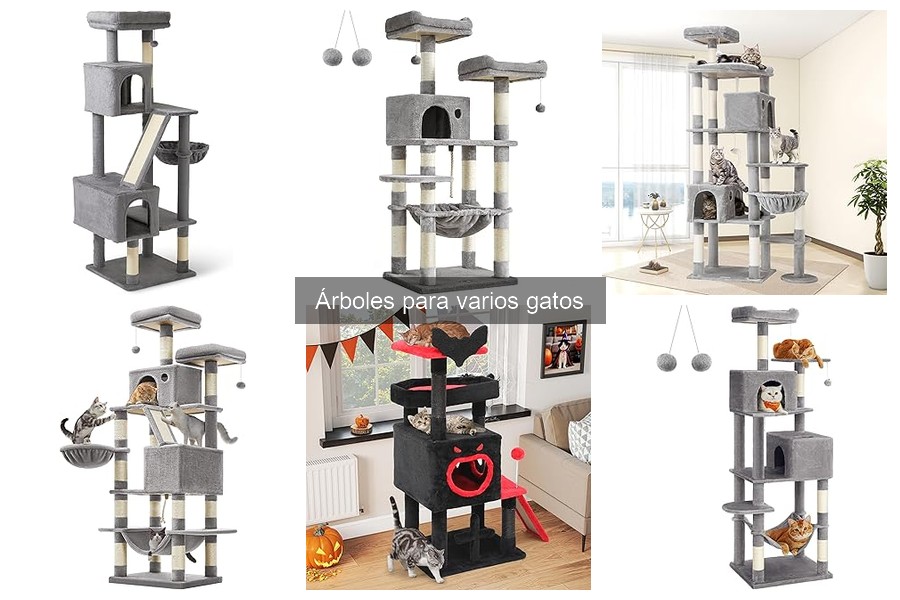 Mejores árboles para gatos según opiniones de usuarios