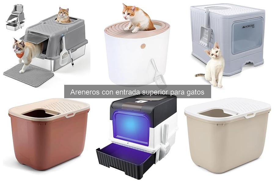 Mejores areneros con entrada superior para gatos en 2023