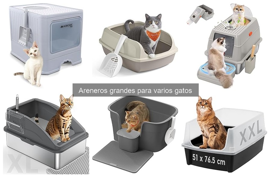 Mejores areneros grandes para varios gatos: comparativa 2023