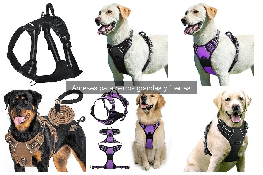 Mejores arneses antitirones para perros grandes y fuertes