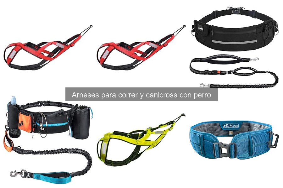 Mejores arneses para canicross en 2023: comparativa