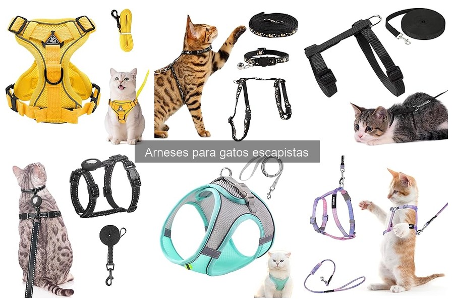 Mejores arneses para gatos escapistas - Comparativa 2023