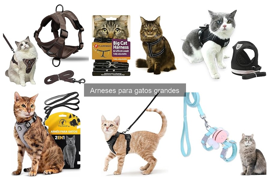 Mejores arneses para gatos grandes: Comparativa y opiniones
