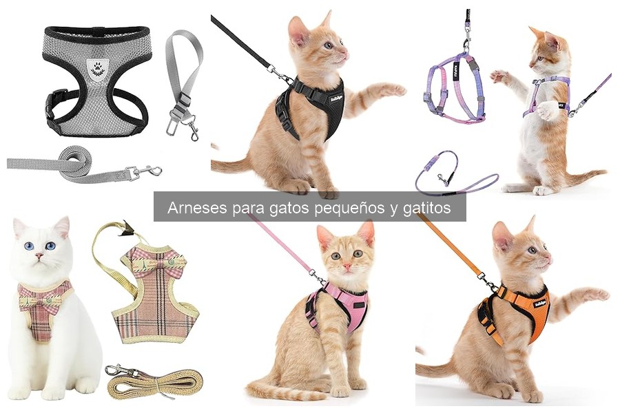 Mejores arneses para gatos pequeños en 2023: Comparativa y precios