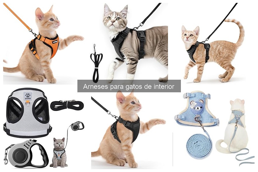 Mejores arneses para gatos que se escapan en 2023