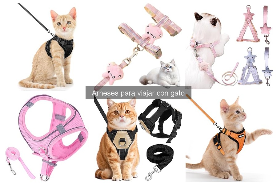 Mejores arneses para viajar con gatos en 2023