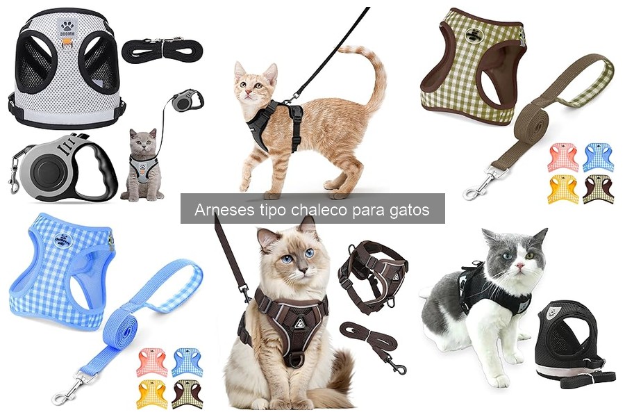 Mejores arneses tipo chaleco para gatos pequeños comparativa