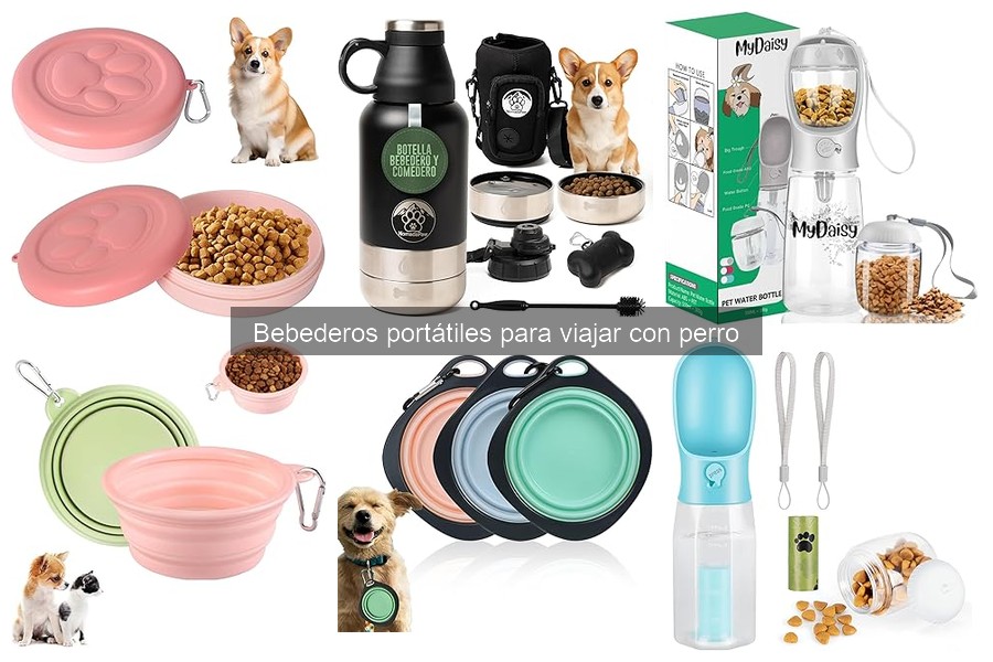 Mejores bebederos portátiles para viajar con tu perro