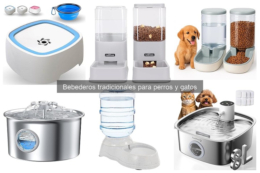 Mejores bebederos tradicionales para perros y gatos según expertos