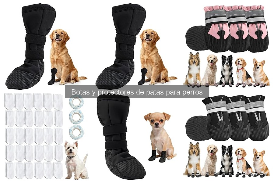 Mejores botas para perros en terrenos nevados: comparativa