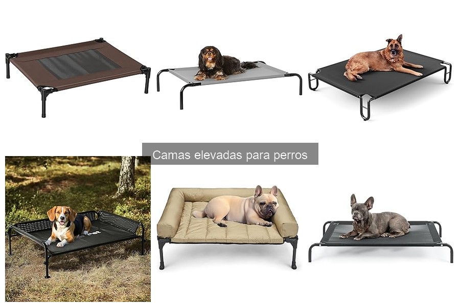Mejores camas elevadas para perros grandes: comparativa 2023
